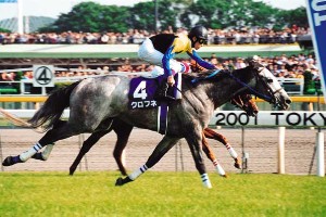 �m�g�j�}�C���b�E�t�S�[���O