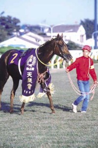 日刊競馬で振り返る名馬 - ホウヨウボーイ(1981年・第84回天皇 日刊競馬で振り返る名馬 - ホウヨウボーイ(1981年・第84回天皇