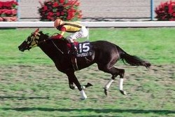 日刊競馬で振り返るGI - ファビラスラフイン（1996年秋華賞）